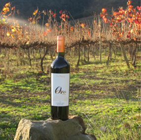 Description of image 2